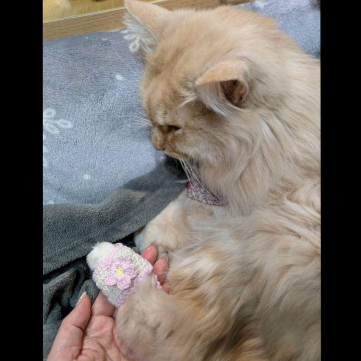 E650b692 16cd 46f3 b635 0f5febcddfac 1770915348430