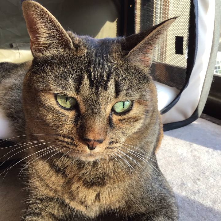 E650f75e 44f8 4c2d 8571 ef0919d2f83f 1728888787222