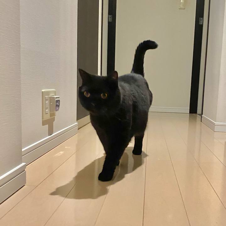 E650fa36 1cb8 44cd b8a7 de20901e1e26 1695301825596