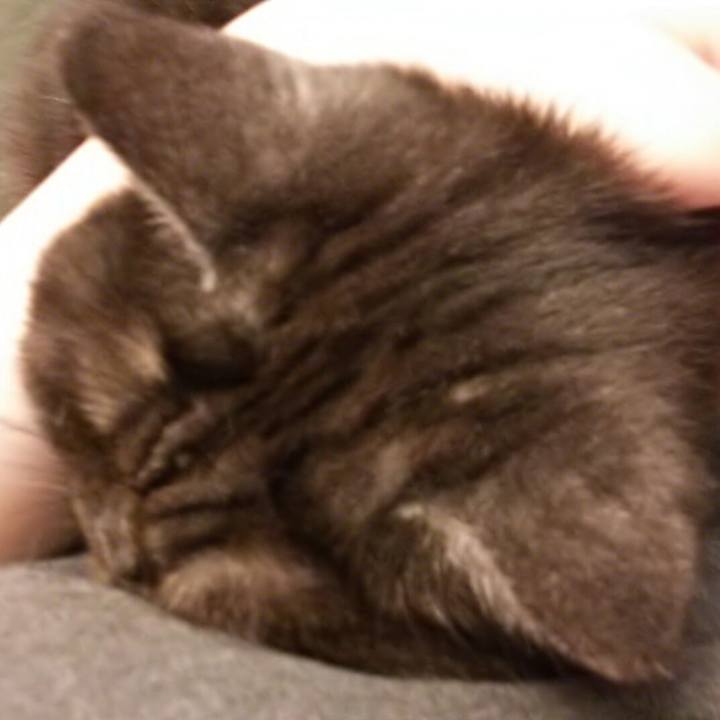 E6511643 e454 47bc 8b31 8837389fed5d 1561009291419