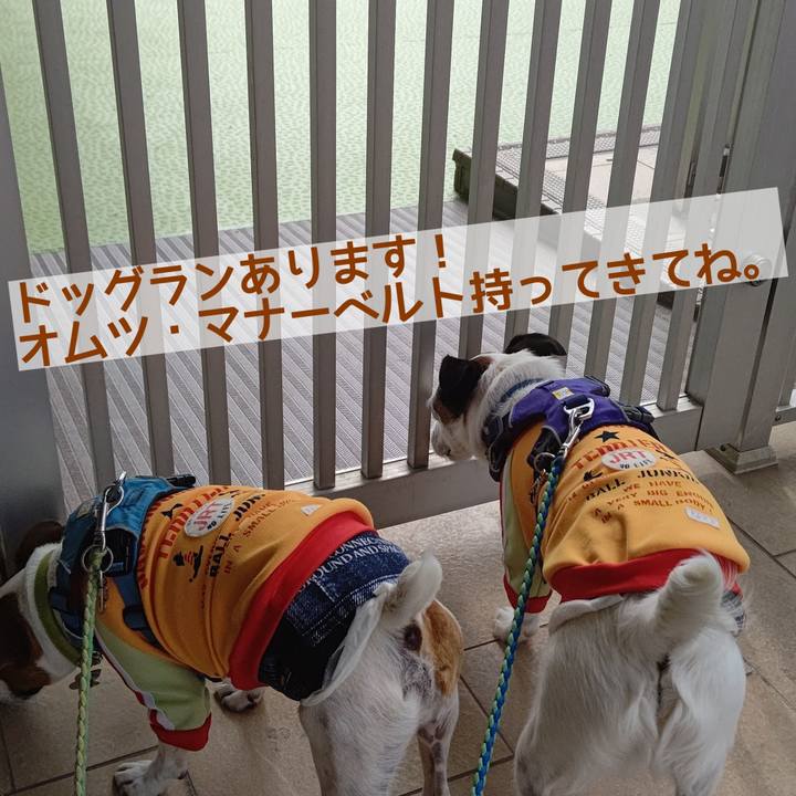 E6516cf9 fc3c 445d 91a9 f02a9c6c4dcd 1621841881549