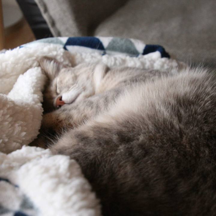 E6517fb3 ab21 4e7a b625 365b83e0183b 1541752060107