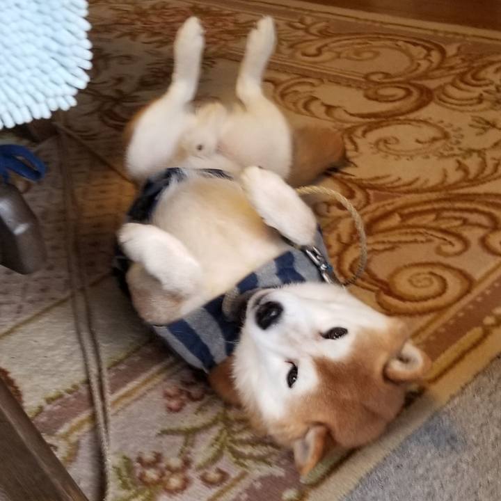 E6519279 e6df 433f a704 2b61f5c5fed5 1581638509772