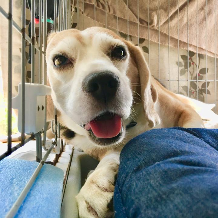 E651b520 8f81 4ade b226 678e04ecf558 1564296459275