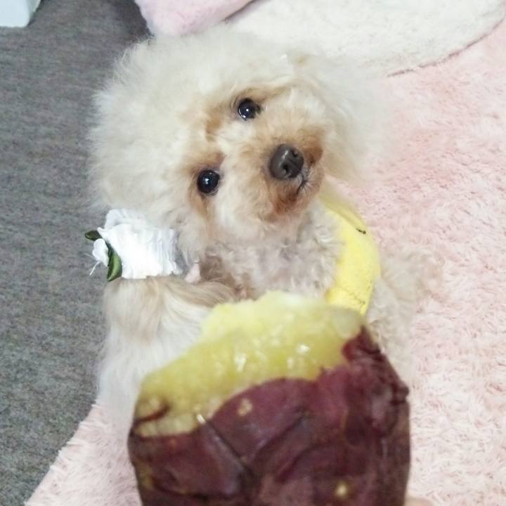 E651d07a cb1a 4851 b340 6a6f3480b68b 1543662237108