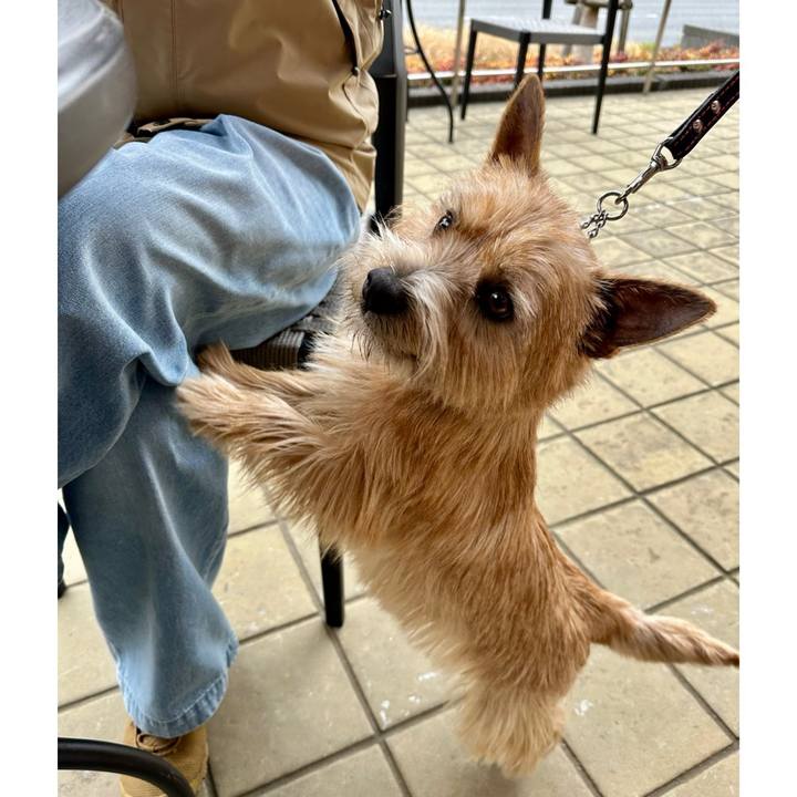 E651ded6 c1e3 43d9 b5d1 27f1efdc70ed 1739699434057