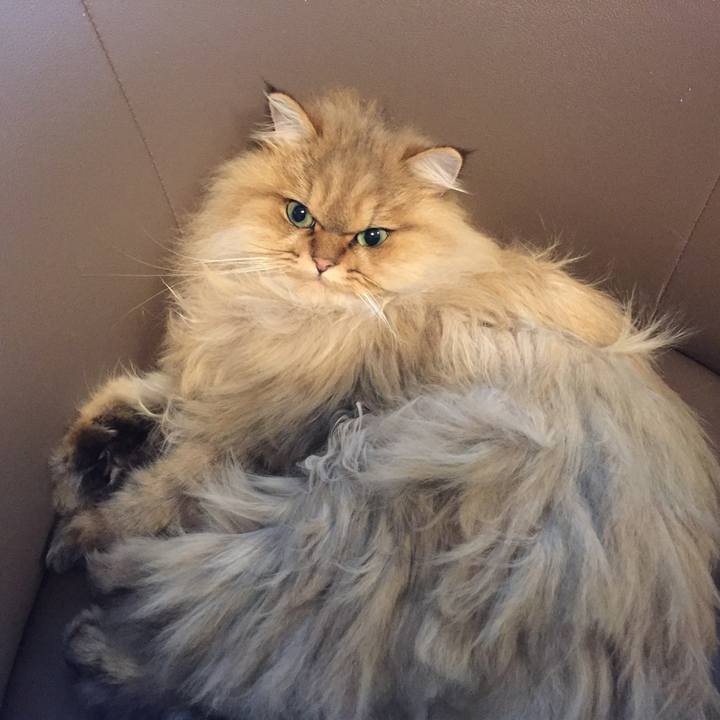 E6520bea 05f2 4c33 9ab1 d9d9ae7af700 1544842605164