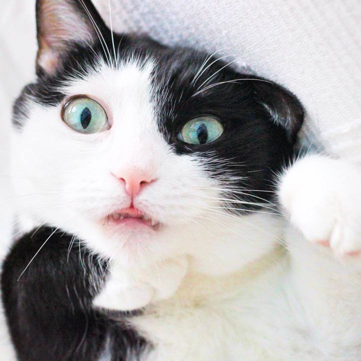 E6522c29 bbd8 4c29 9f24 4f4c6f2e91fe 1571238339236