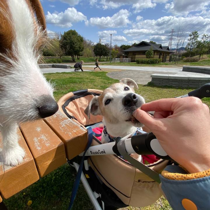 E6527c9b 7c77 45c1 87af 063353545bbb 1647839849589