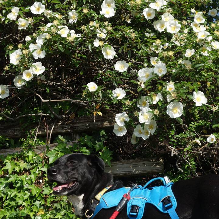 E652ac6c e5ec 485d 8713 4d26dc7d4751 1619227280966