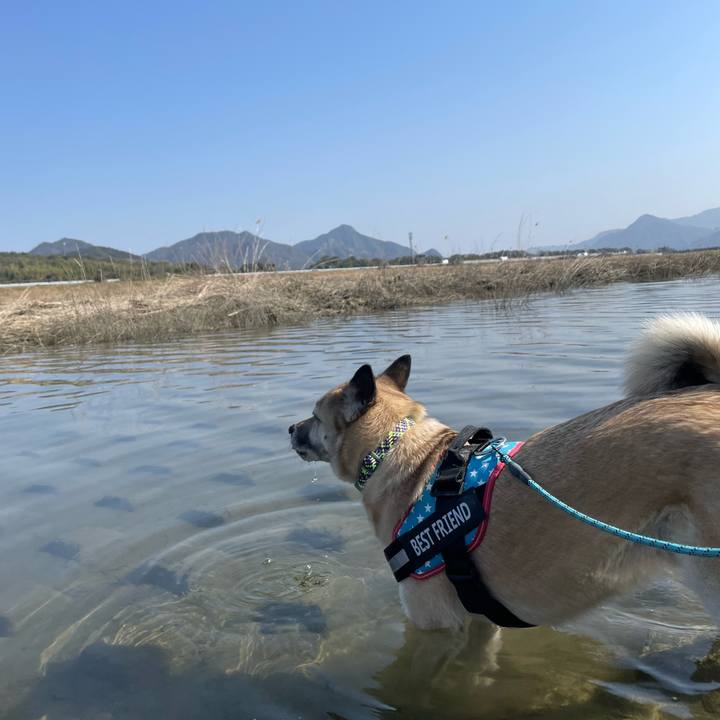 E652c46b 211a 4dd0 88e9 e23bb3d43934 1710591421896