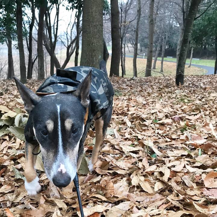 E652df79 f66b 4f48 b48a 481057994828 1516174882324