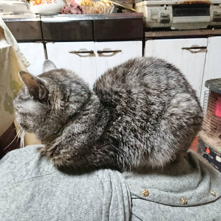 E652edf3 2875 464b 89cb cadc880f8cf3 1576575469821