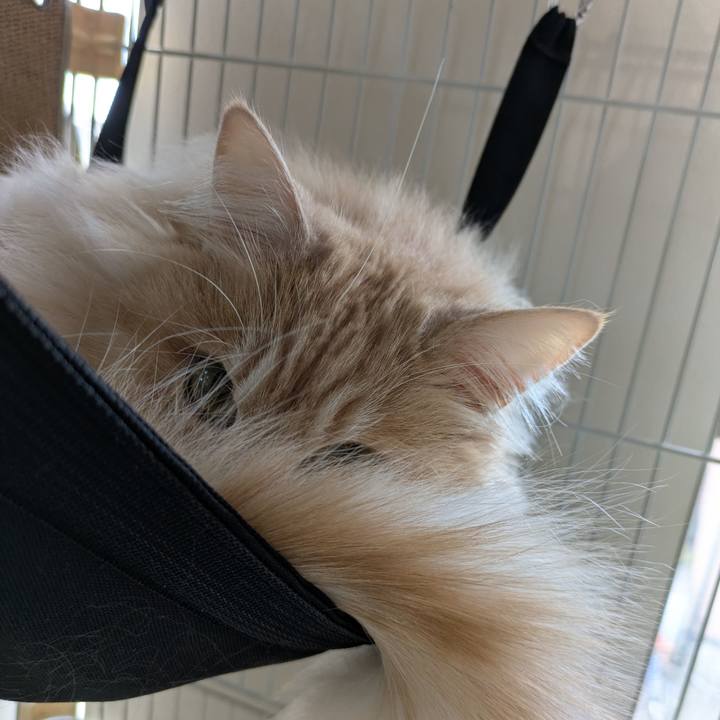 E6531408 0cdd 40f8 b15e d47083e46a00 1746622823314