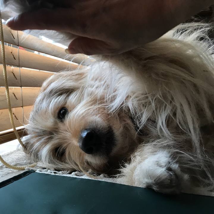 E653392b 7fe1 4cb5 b3d1 4f4a4706a95c 1589605313194