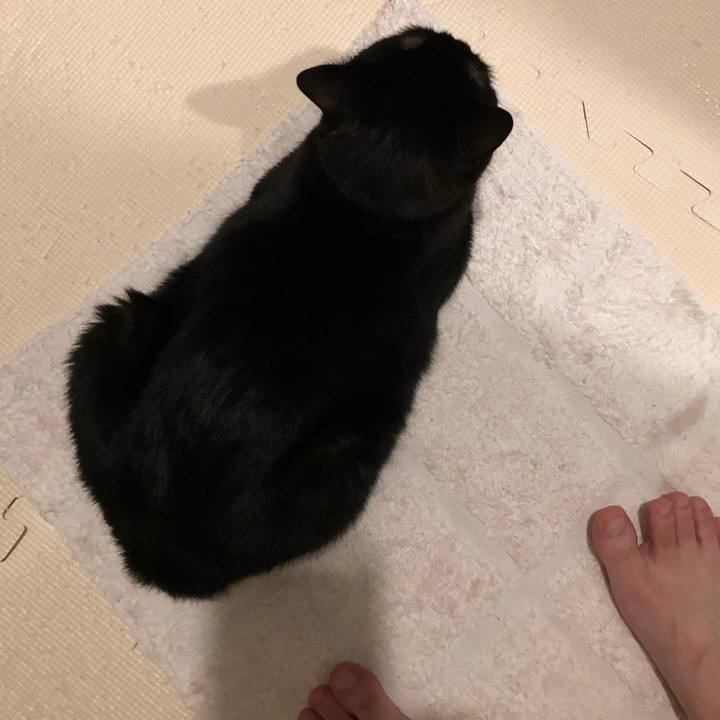 E6536f30 91c4 48b8 8ecc f103c1e8a8f8 1622714605257