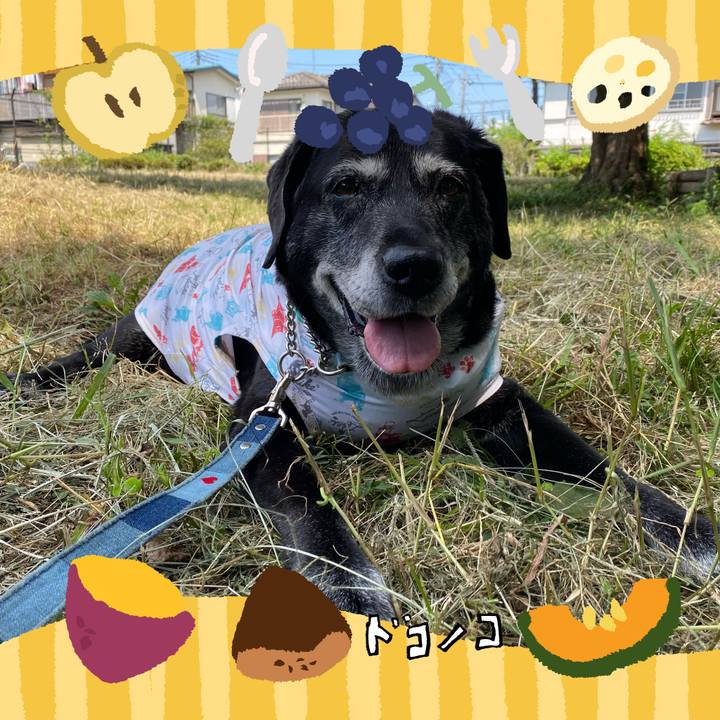 E653b1ba 4911 4d5e b1a3 174daf4d8b57 1727226160106