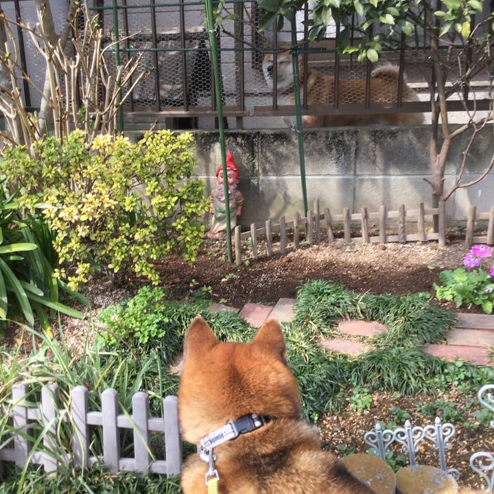 E6544faf 0d25 42cf b295 724d7d110f16 1582343398854