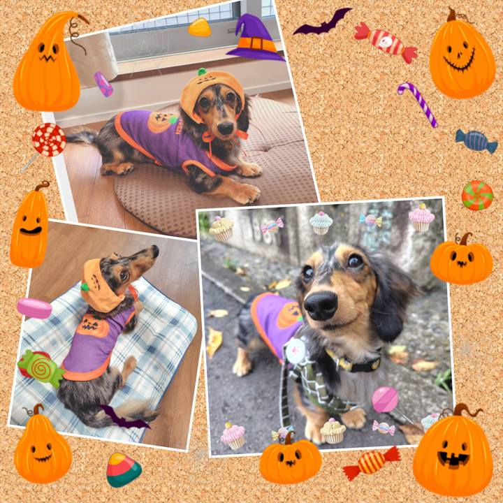 E6545a4d 65b7 44ba b471 72a78492af14 1730354372508