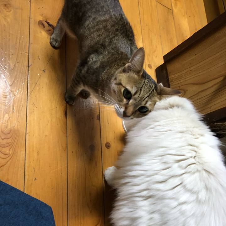 E654602e 70e7 4026 a003 c90f4d662b04 1735981469657