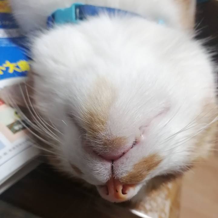 E6546676 7354 419d a4bb 80d5e1477663 1625744964479