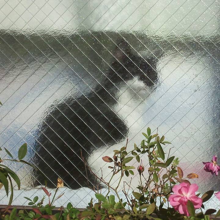 E6546803 1b4b 4bfc 981b 3736198b1ba2 1545714873483