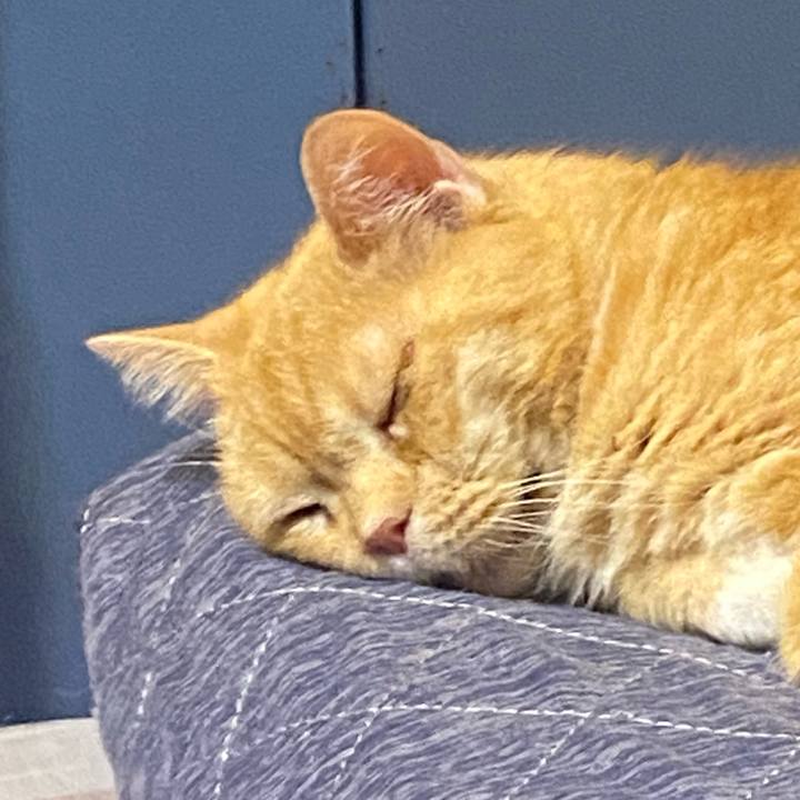 E654b46f c155 4880 87e1 3c0e03b9ab2e 1637338526587