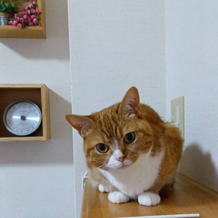 E654c534 a2a2 4c46 9a52 1ab39a602b4c 1720008284909