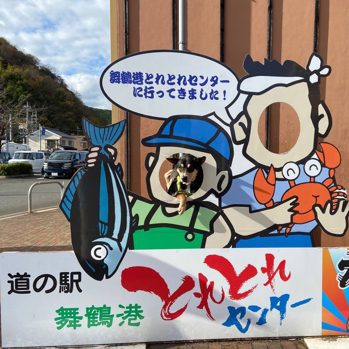 E6556f6c 2a25 46f5 b54d 3ca3102a2544 1606052044512