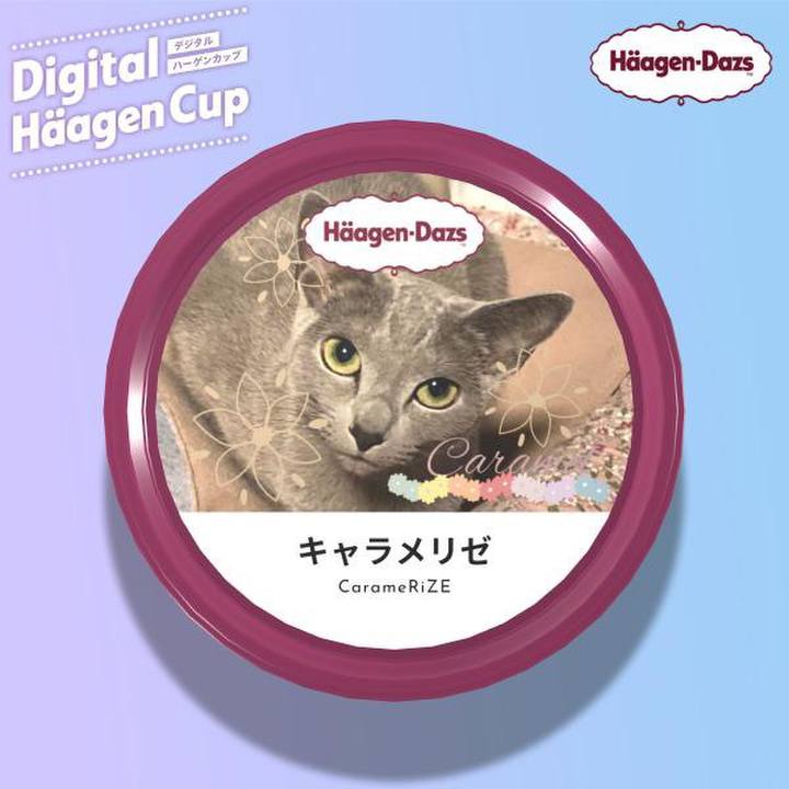 E65570d6 557c 4501 a3b3 2ad5ffee9947 1684941480167