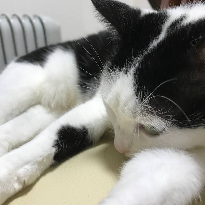 E655a935 79f2 4a12 9a7e c071ceace4d5 1519129416084