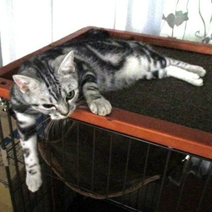 E655ac48 6417 4294 86c7 b509fd5d97ea 1537613730720