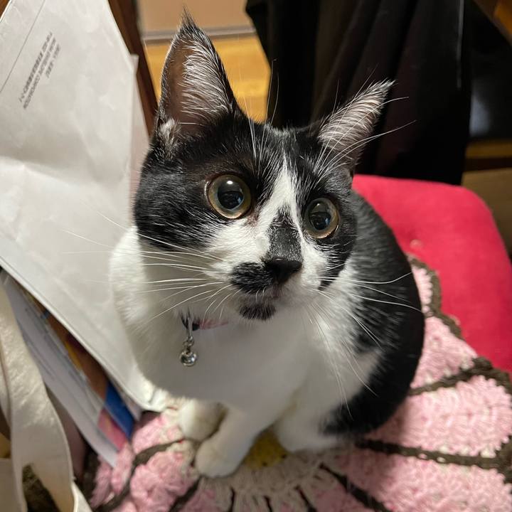 E655d30f 3142 4fae bb68 2a3674431378 1763506346955