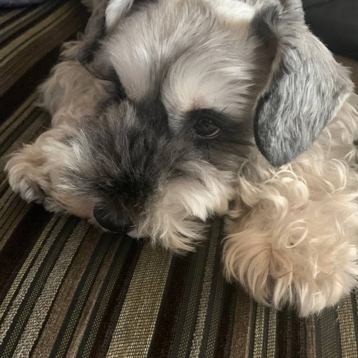 E6563c1b 66e1 44fa 98fe 1d3200134508 1598656861312