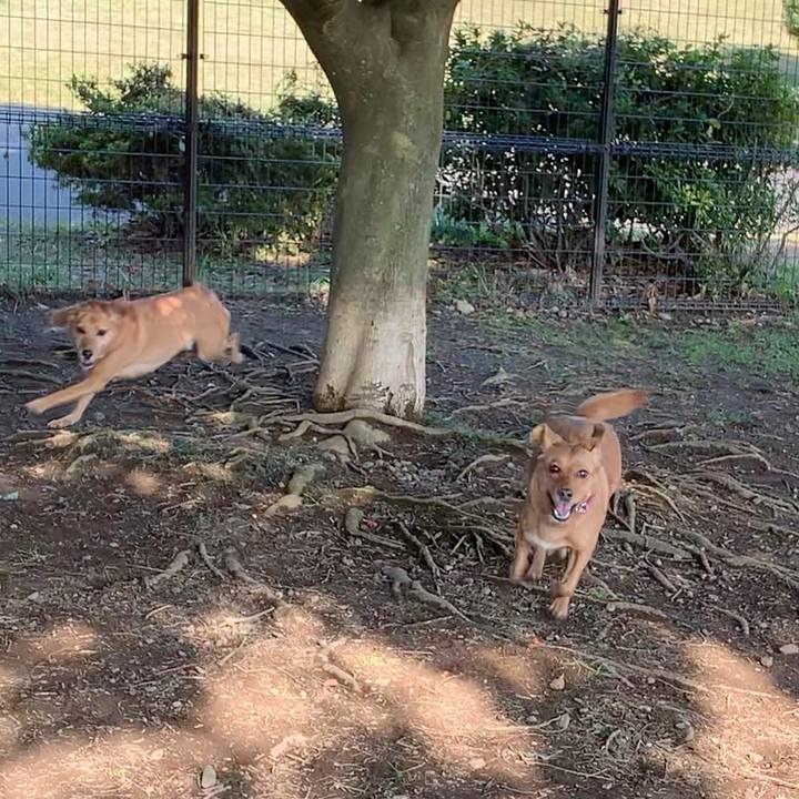 E656545d 1542 40cb a5d1 5a87b719273b 1574654657568