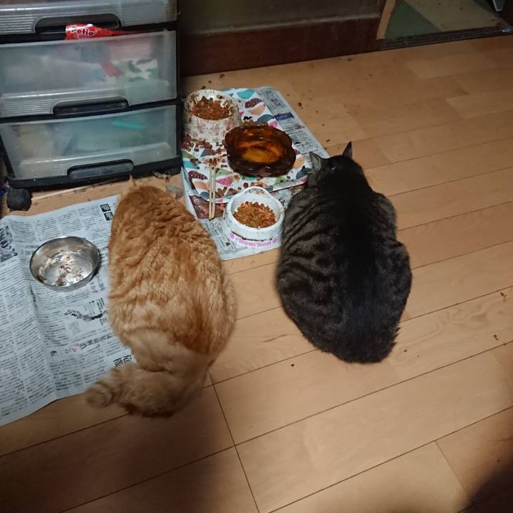 E6567720 232e 438e b3fd 7c15f194488e 1656279270340