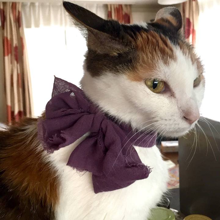 E656811c 3d89 4868 8678 72f686e7bf15 1534735899727