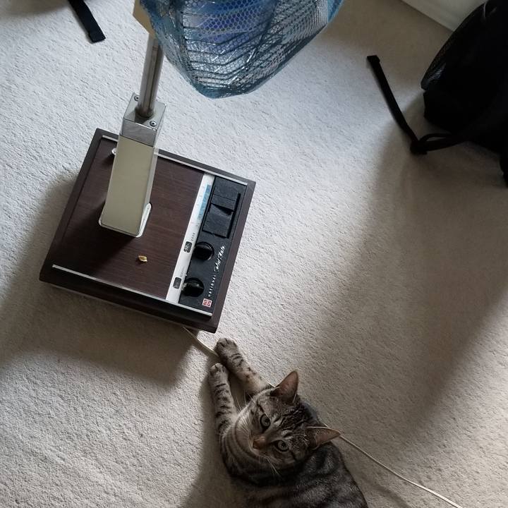 E656d443 3ca9 4b96 9be8 5a7a9525a6b6 1690340669246