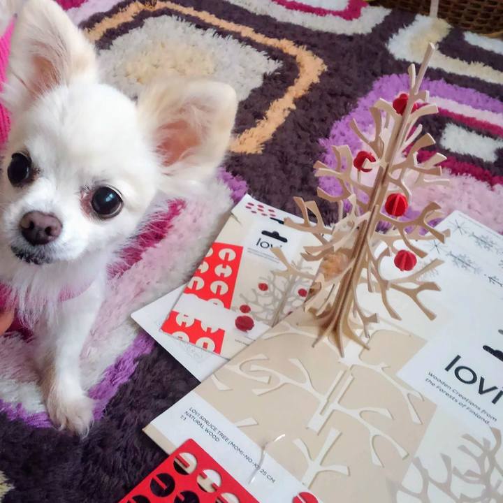 E656f758 75c2 4051 8890 5f1a1fd3565f 1573133505978