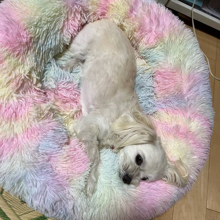 E65714af 109f 4159 8aea 107a2a8b4baa 1689510142688