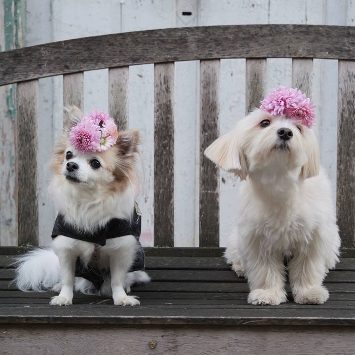 E6572827 5bab 4386 97e5 fd697dba2030 1761623115885