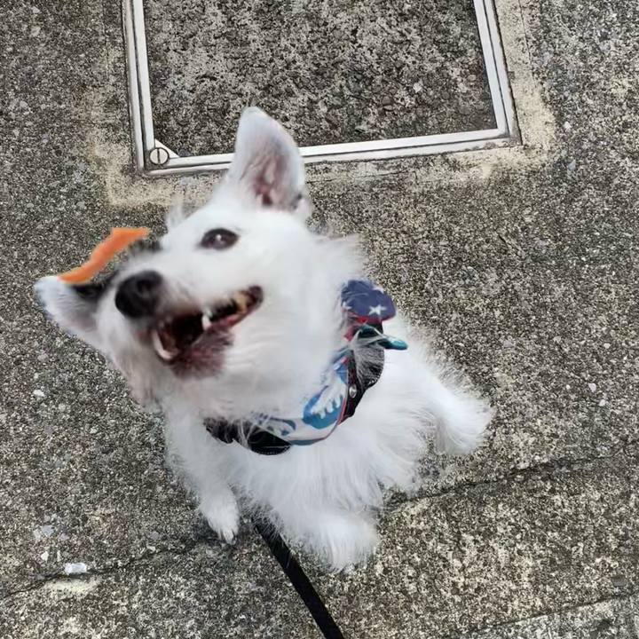 E6573214 842a 47c7 8f6d 3593f393b3e1 1757286009713