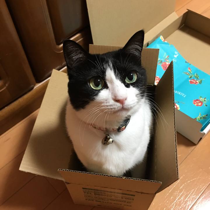 E6577e02 4aa2 4f34 9bcf ea8819e3669e 1513520666029