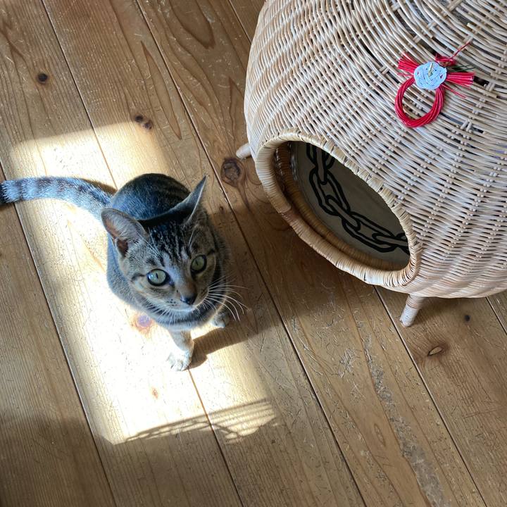 E6579af6 eea2 45f4 b274 9b8a34b5692b 1672640684677