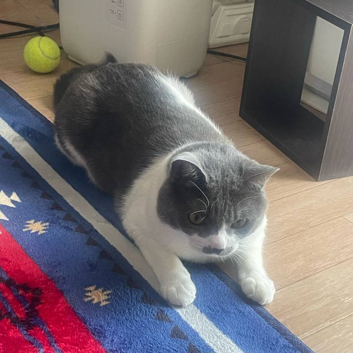 E6579dbd ffb0 4fd1 b4b0 8410f35ee557 1651982611600