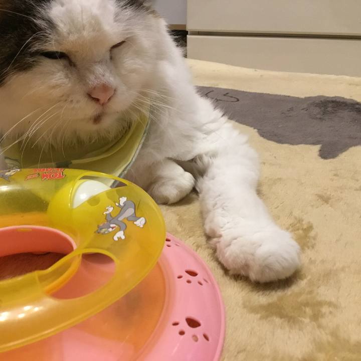 E657d510 d5ff 4a07 bd64 5b046f6b6ee3 1574041493656