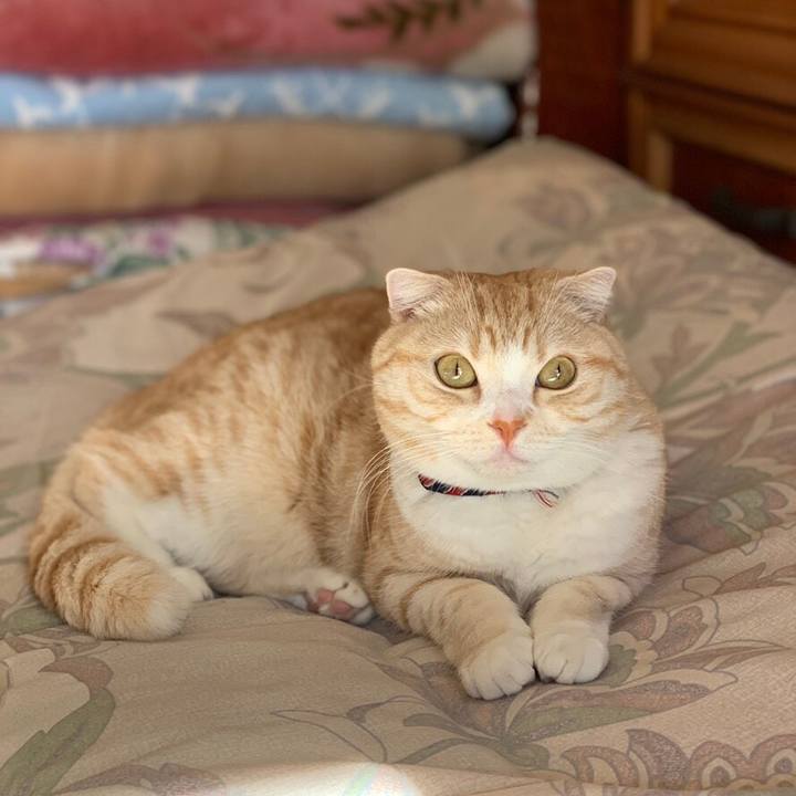 E657f8c3 0f97 4220 97e0 628804eed9e5 1549213407983