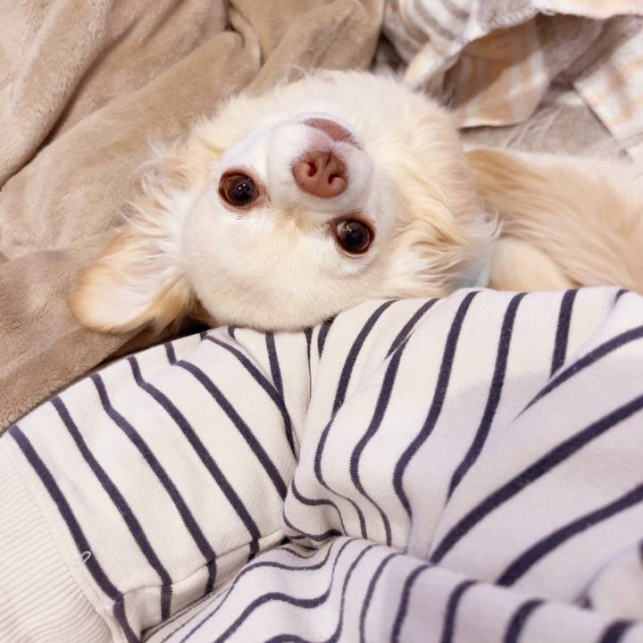 E65819f5 f138 455a af7d 750b186295d5 1741699623867