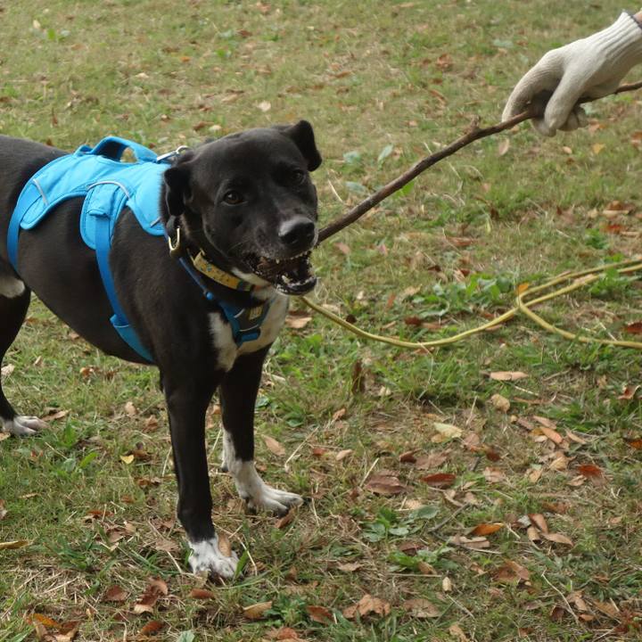 E6582723 0d72 4536 8fd0 787ee8e61a9a 1603759360025