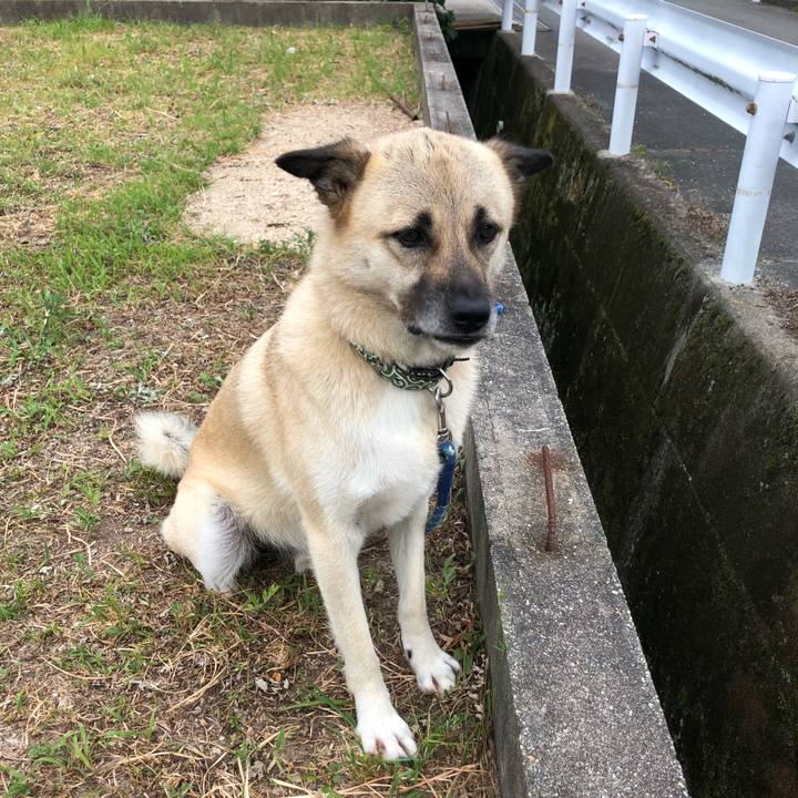 E6583288 5d83 4eb2 a07a e18fd674121b 1596716589833